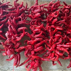 Ristra de 100 pimientos cuerno cabra | choricero