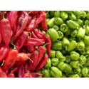 Producto Fresco